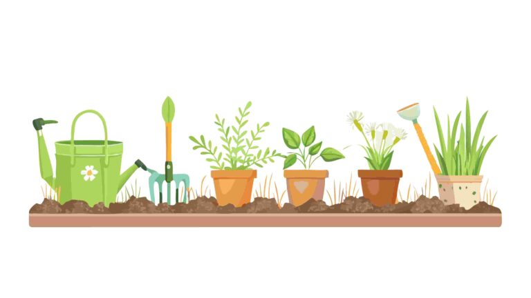 Green Potted Plants on Wooden Shelf Vector Decoration, vector design Generative AI