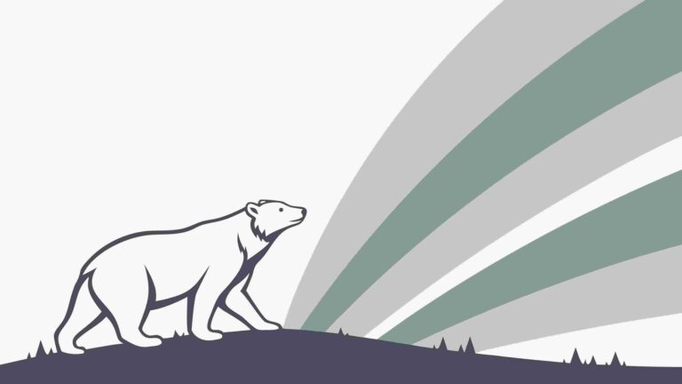 Polar Bear and Aurora Borealis Vector Silhouette, vector design Generative AI