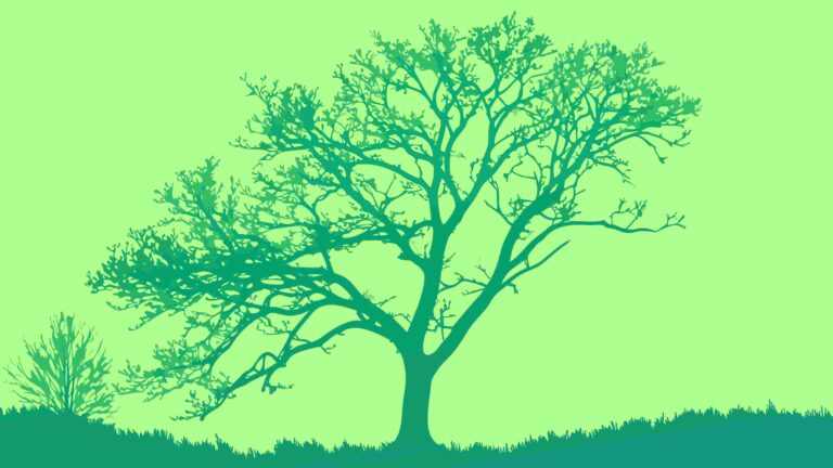 Dark Green Landscape with Gnarly Tree Silhouette, vector design Generative AI