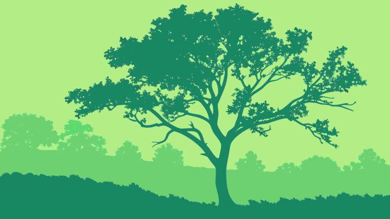 Lush Green Forest Landscape with Lone Tree, vector design Generative AI