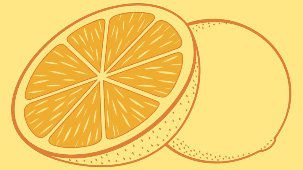 Realistic Lemon Cross-Section Outline Vector, vector design Generative AI