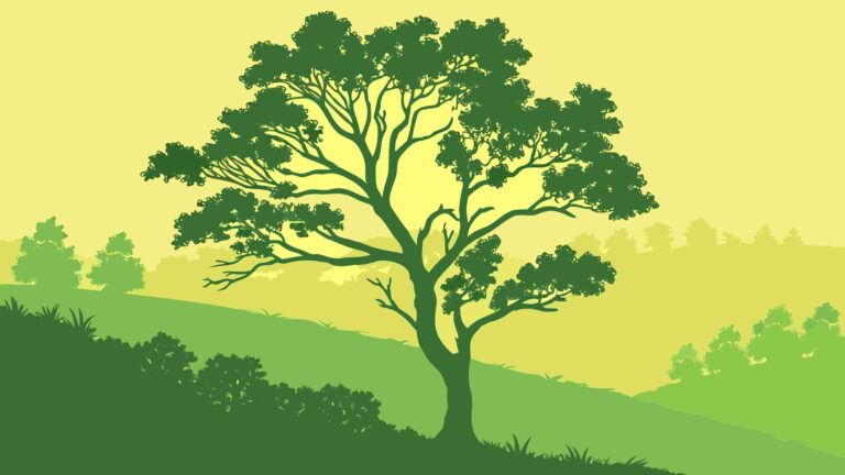 Scenic Forest Silhouette with Detailed Tree Shapes, Lush Greenery, vector design Generative AI