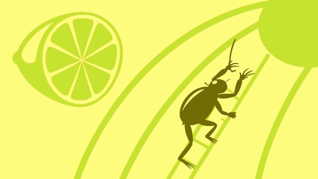 Ant Climbing Branch with Lemon Slice in Sunny Scene, Nature Vector Art, vector design Generative AI