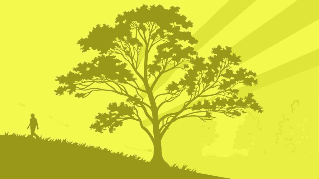 Person Under Tree Bathed in Sunlight, Serene Nature Scene Vector, vector design Generative AI