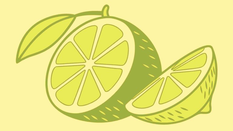 Delicious Fresh Lemon Slices, Vibrant Citrus Fruit Vector Art, vector design Generative AI