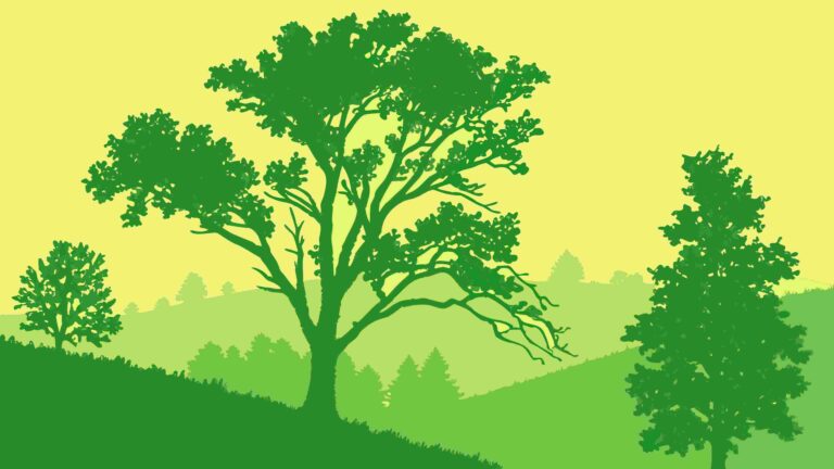Verdant Forest Landscape with Diverse Trees, Lush Nature Scene Vector, vector design Generative AI