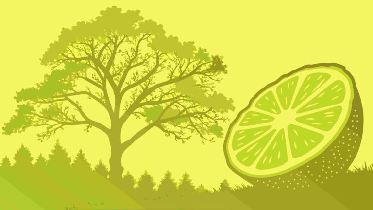 Stylized Lemon Slice with Tree Silhouette Background, Artistic Food Scene, vector design Generative AI
